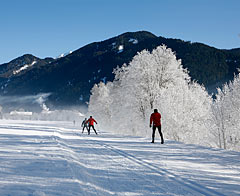 Cross country skiing in Casies