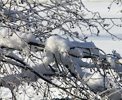 Impressioni invernali