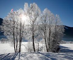 Impressioni invernali